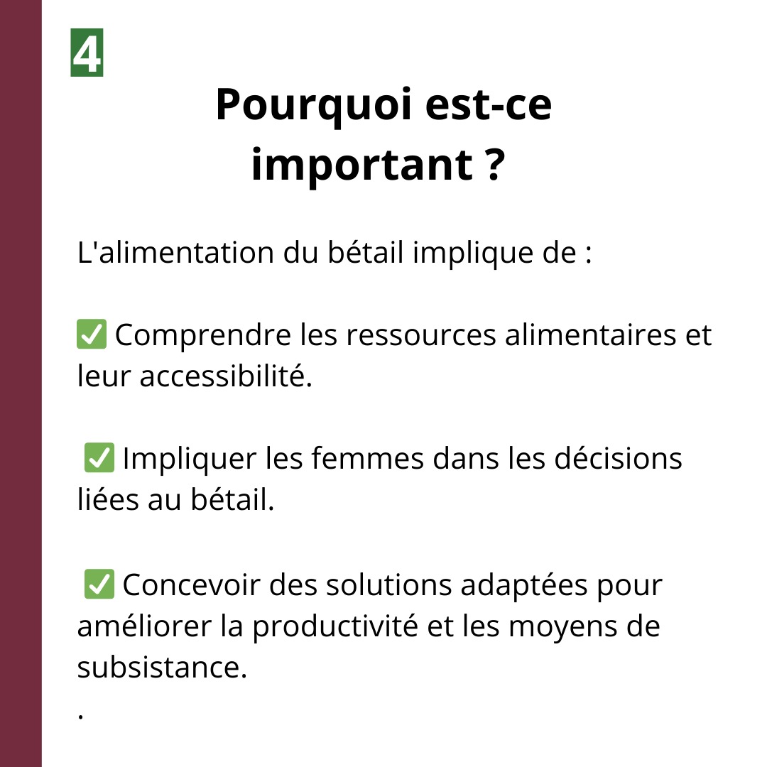 LMP_Madagascar's tweet photo. Améliorer la gestion des ressources alimentaires pour un élevage plus productif et durable est essentiel pour la sécurité alimentaire des communautés rurales. 🌿🌾

#SécuritéAlimentaire #ÉlevageProductif #AgricultureDurable #Résilience #CommunautésRurales https://t.co/wIWas5InfL