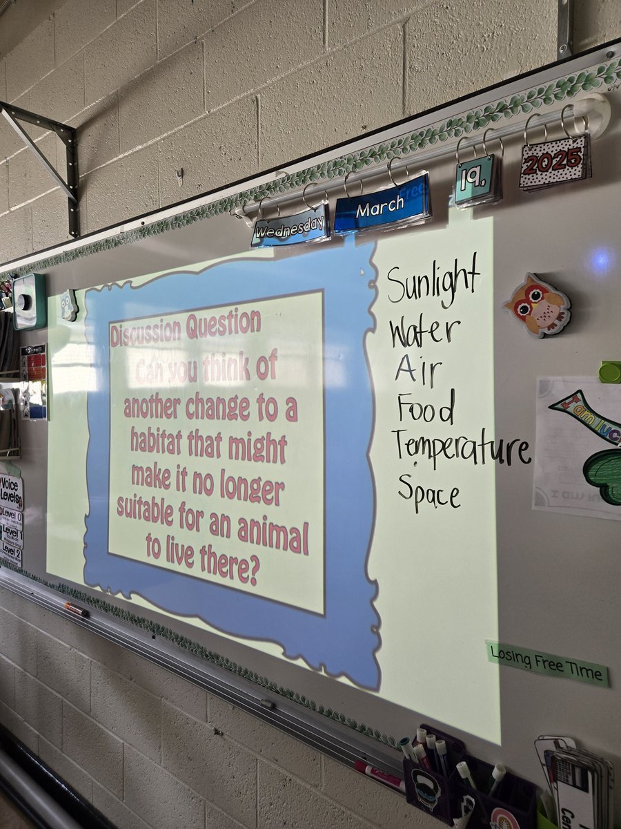 Ms. Muise tweet media