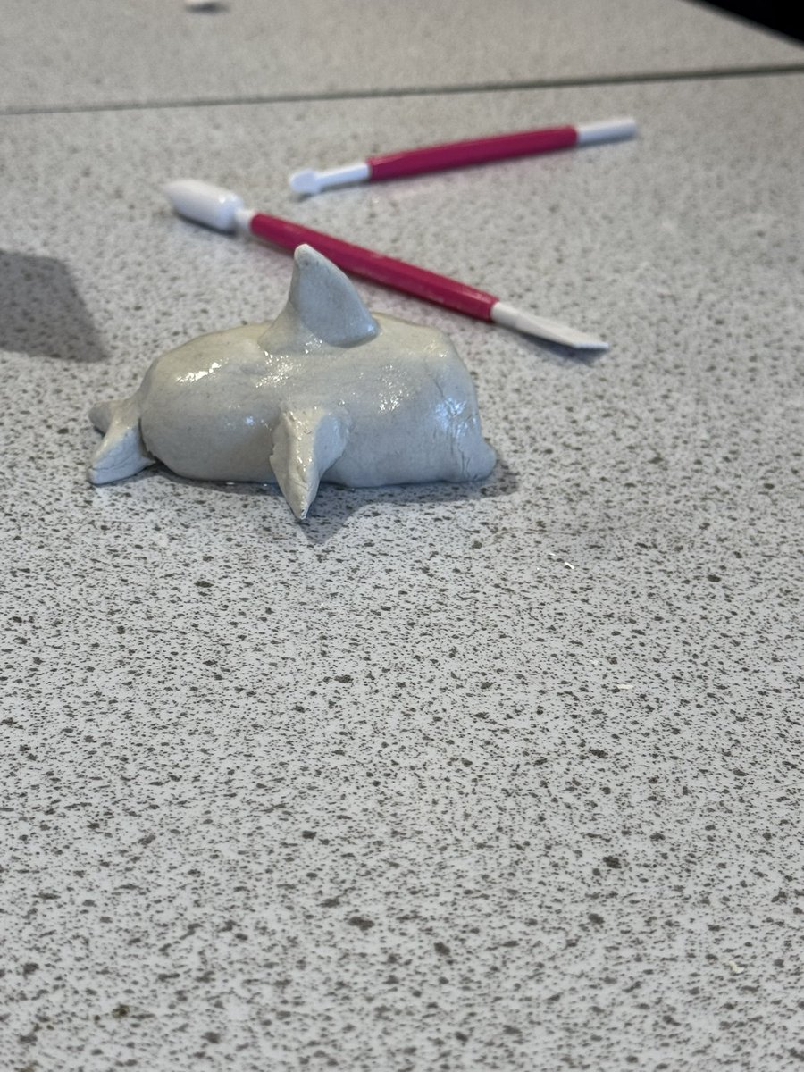 Laura McCallion tweet media