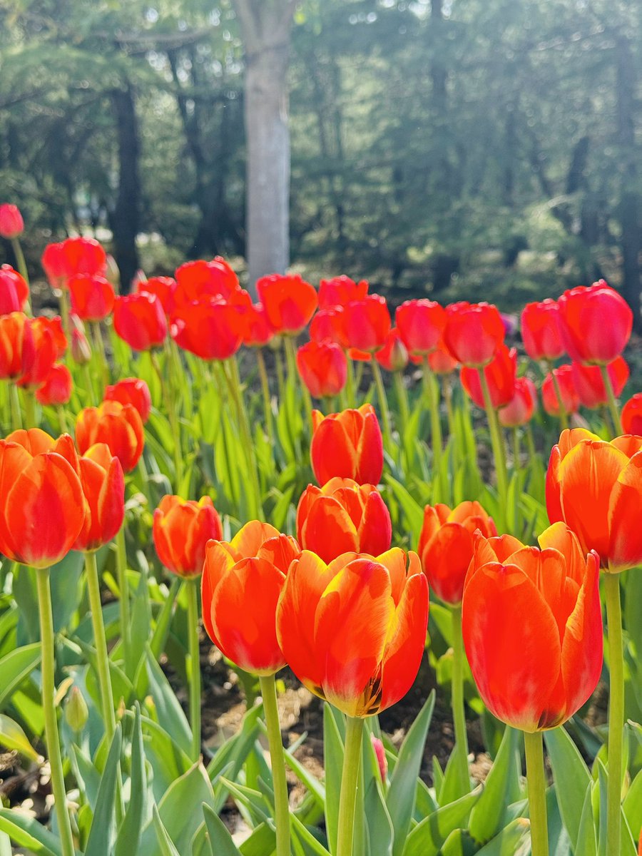 yejinsong7's tweet photo. I love my city-Hefei π· π·π·π·
#lifestyle #hefei #life #lifeisgood #lifeisbeautiful #mylife #lifestyleblogger #lovelife #happylife #hefeilife #gourmet #city #beautifulhefei #ilovehefei #food #travel #instagood #china https://t.co/y3XJWpPAqv