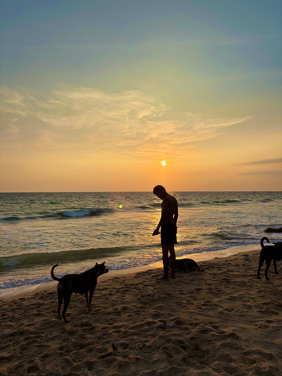 Sunset with furry friends in Varkala <a href="/visitindia_in/">visit India</a>