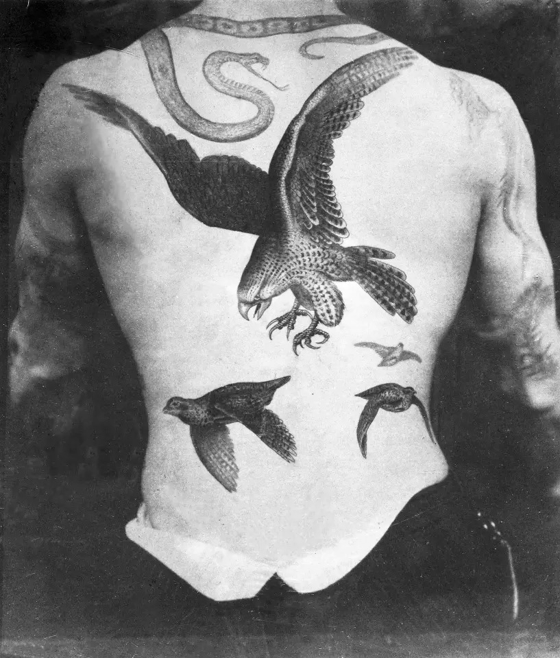 PublicDomainRev's tweet photo. The creations of Sutherland Macdonald (ca. 1905), Victorian England's first professional tattoo artist. More here: https://t.co/nTo2g03wTn #tattoo https://t.co/BNAk0JEgQ4