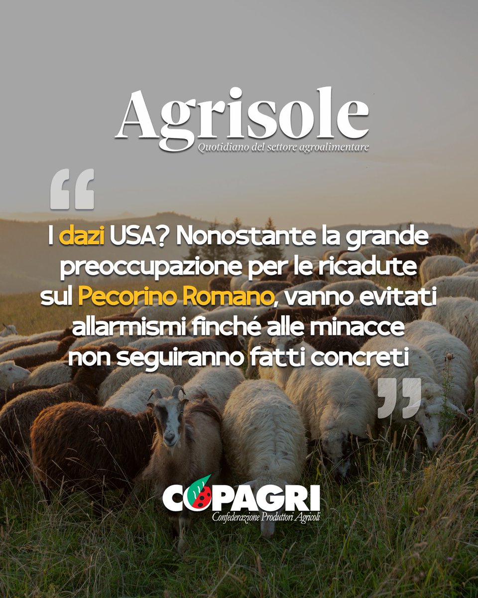 Copagri (@copagri) on Twitter photo #PecorinoRomano: #Copagri, grande preoccupazione per #dazi annunciati da #USA, ma vanno evitati inutili e pericolosi allarmismi, che rischiano di danneggiare un mercato da 150mln l'anno. via #Agrisole <a href="/sole24ore/">IlSole24ORE</a>.
agrisole.ilsole24ore.com/art/mercati/20… #PecorinoRomano: #Copagri, grande preoccupazione per #dazi annunciati da #USA, ma vanno evitati inutili e pericolosi allarmismi, che rischiano di danneggiare un mercato da 150mln l'anno. via #Agrisole <a href="/sole24ore/">IlSole24ORE</a>.
agrisole.ilsole24ore.com/art/mercati/20…