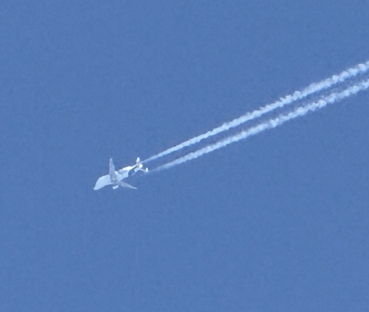 De Beluga gespot vanuit Zuid-Beijerland.