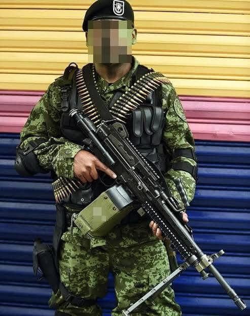 Foro Militar México tweet media