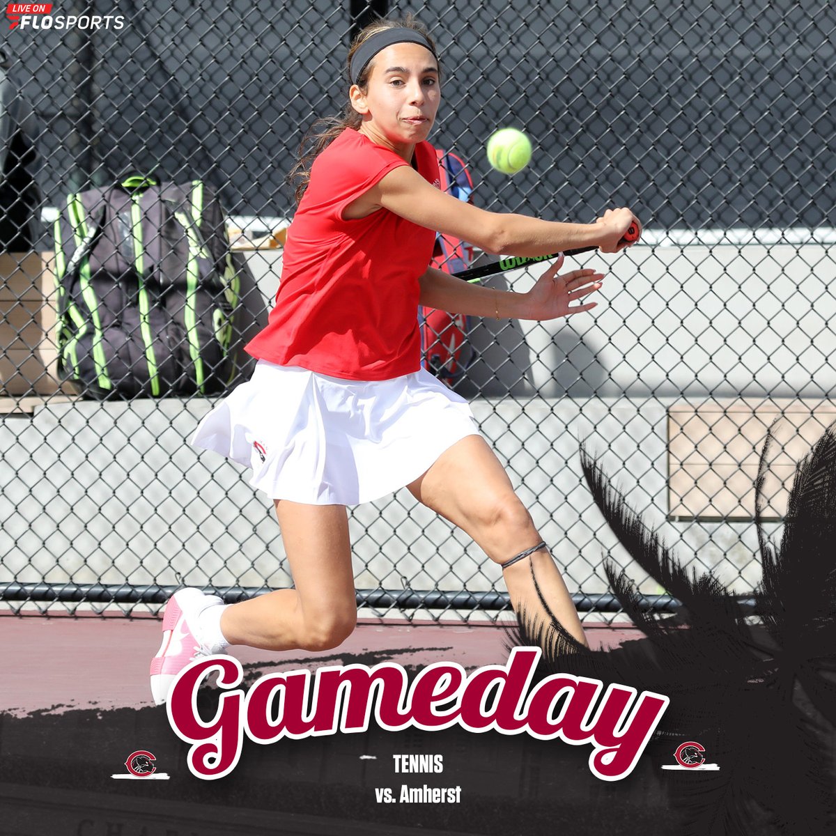 Chapman Athletics (@chapmansports) on Twitter photo Big day, big games across four sports on this fine Wednesday! 
#PawsUp #ChapmanU Big day, big games across four sports on this fine Wednesday! 
#PawsUp #ChapmanU
