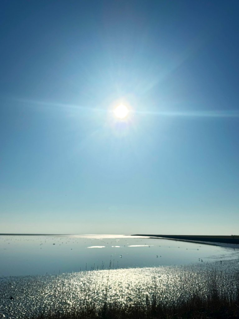 Het is stil aan de overkant.