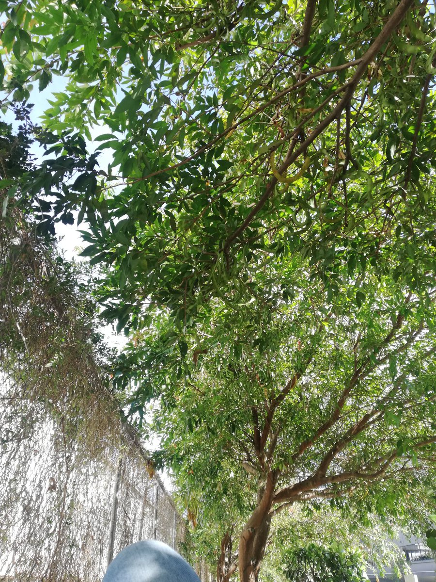 _Lua89's tweet image. #beforework