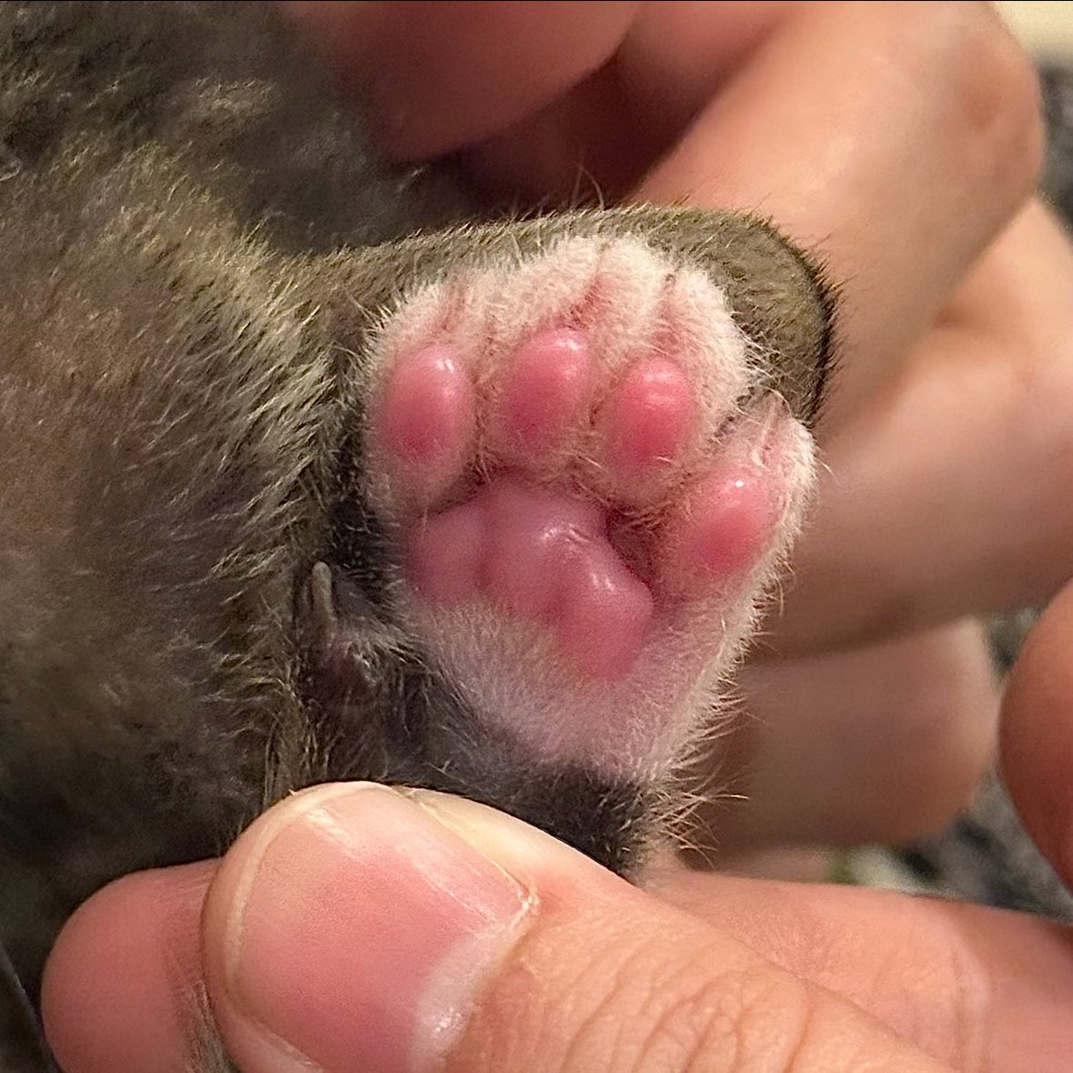 แกทำให้ชั้นต้องเช็ดแว่น