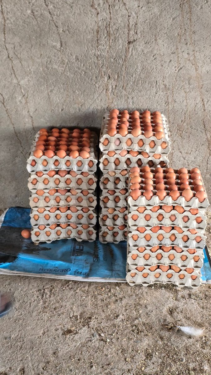 C_LPoultry tweet picture