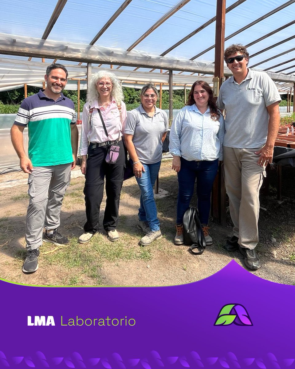lma_agro's tweet photo. Recibimos a #Prochembio 💧 en el #LabLMA.

Recorrimos nuestras instalaciones, hablamos de nuestras líneas de trabajo 🌱y pensamos en nuevas oportunidades de trabajo conjunto.

¡Gran visita! 💯 https://t.co/2A1M50M5RB