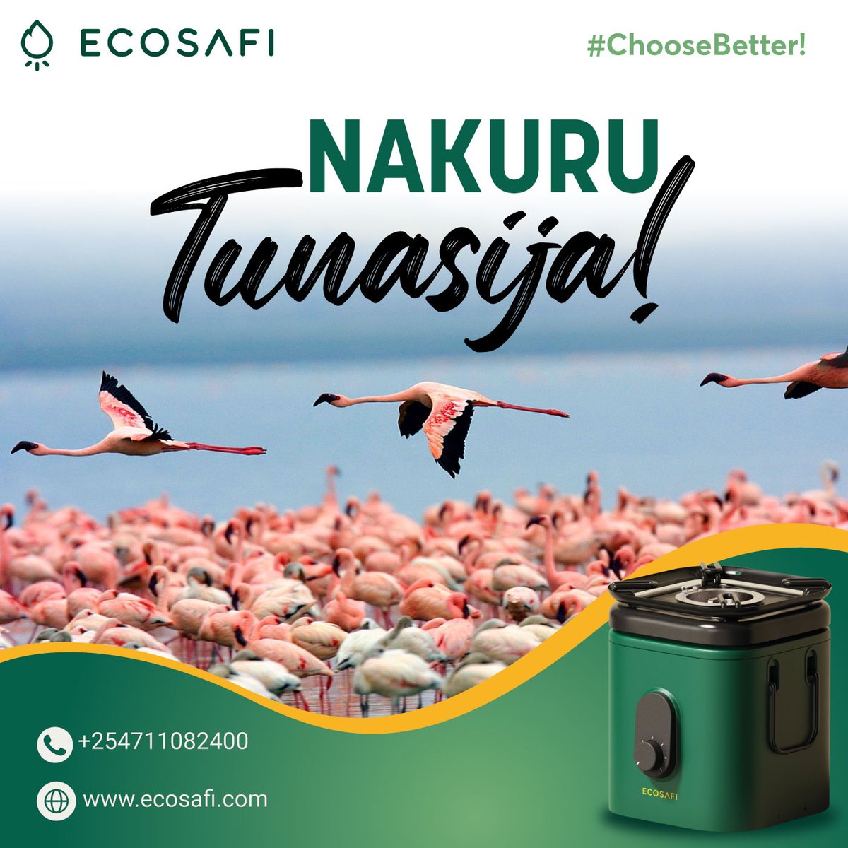 GetEcoSafi tweet media