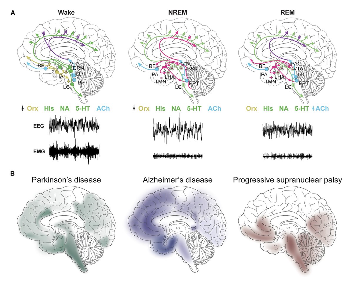 Eric Topol tweet media