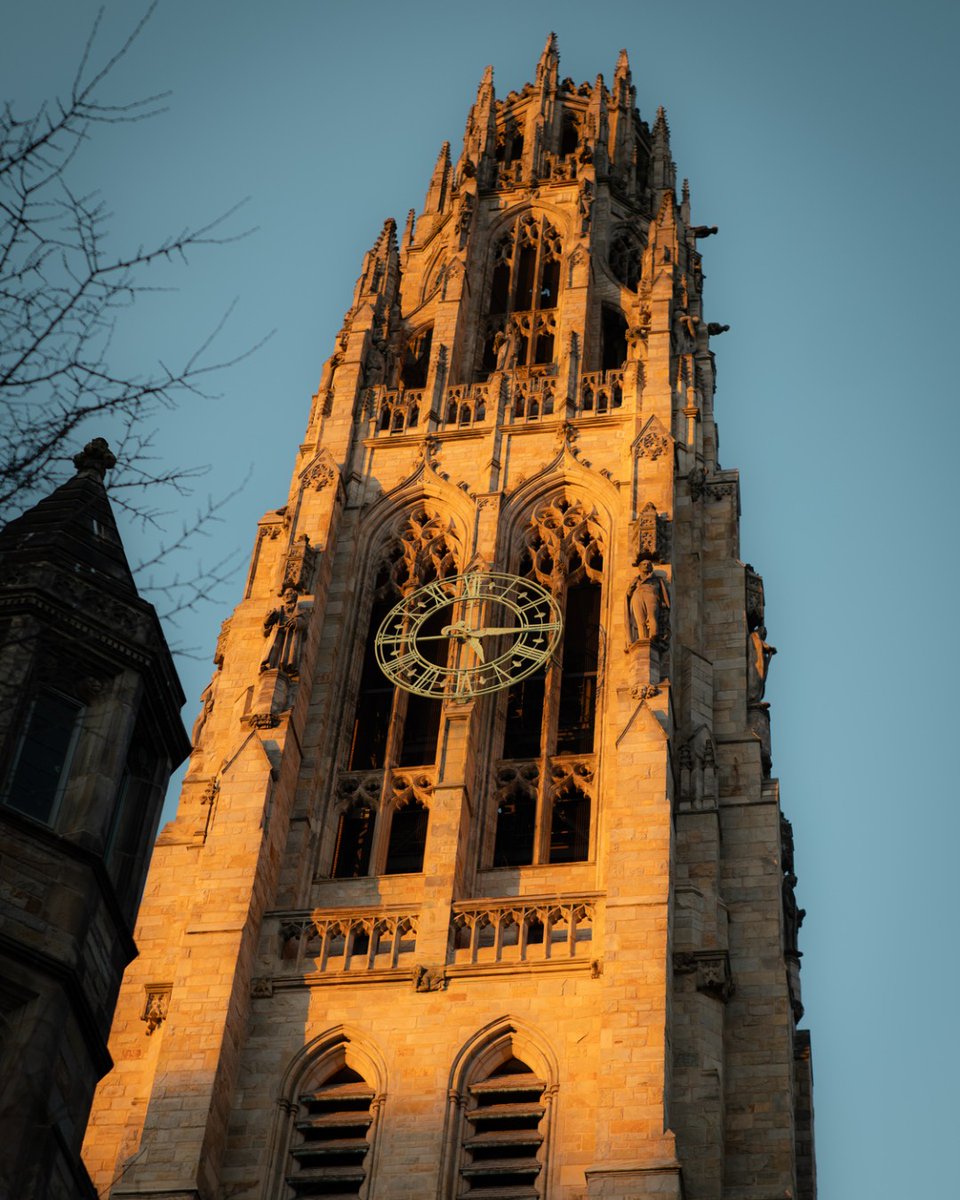 Yale University tweet media
