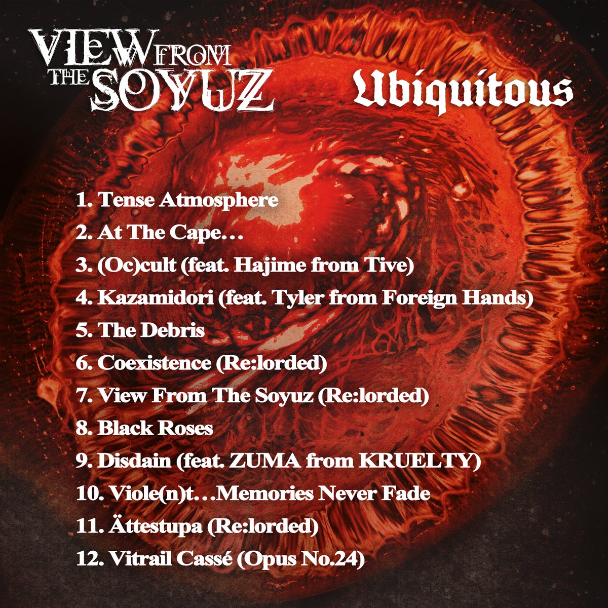 View From The Soyuz tweet media