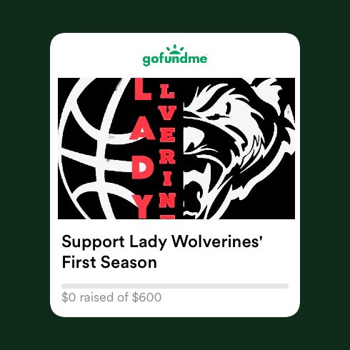 Pls help us on our goal to raise funds for our first year. All donations will go towards travel expenses uniforms  and tournament fees gofund.me/e8e3fed2