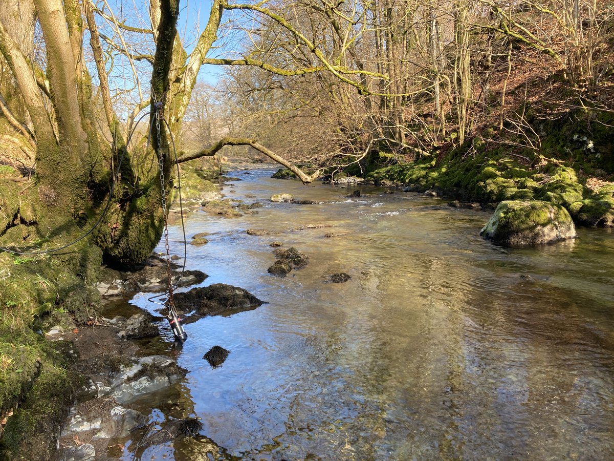 LIFE R4ever Kent tweet media