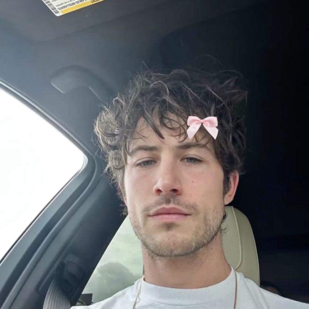 wallows with bows ౨ৎ (@wallowswithbows) on Twitter photo 