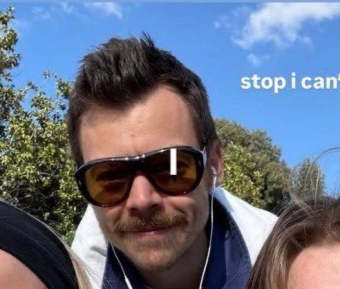 harrstat's tweet image. OH MR CUTE FACE