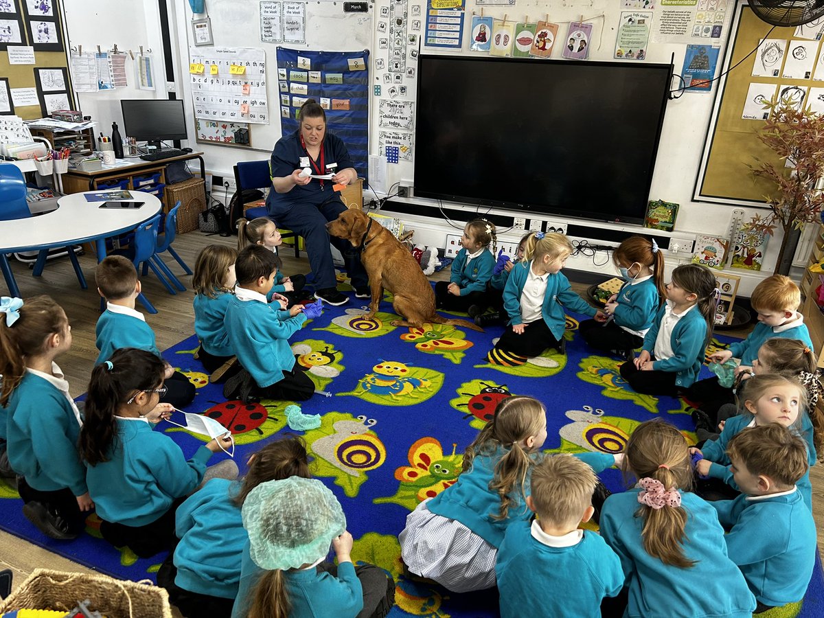 What a fantastic morning we have had! A visit from a veterinary nurse and her dog Dexter!