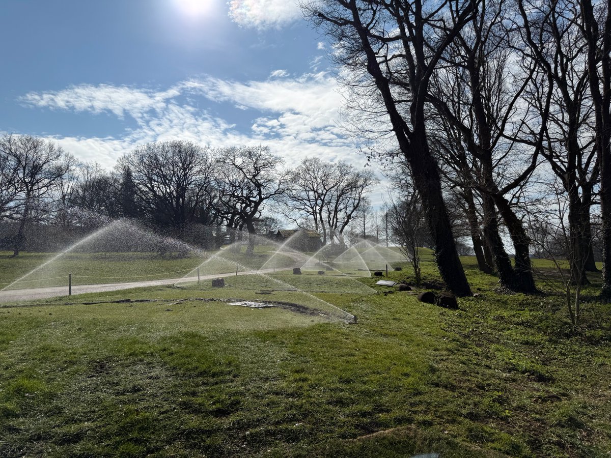 Andre Holt tweet media