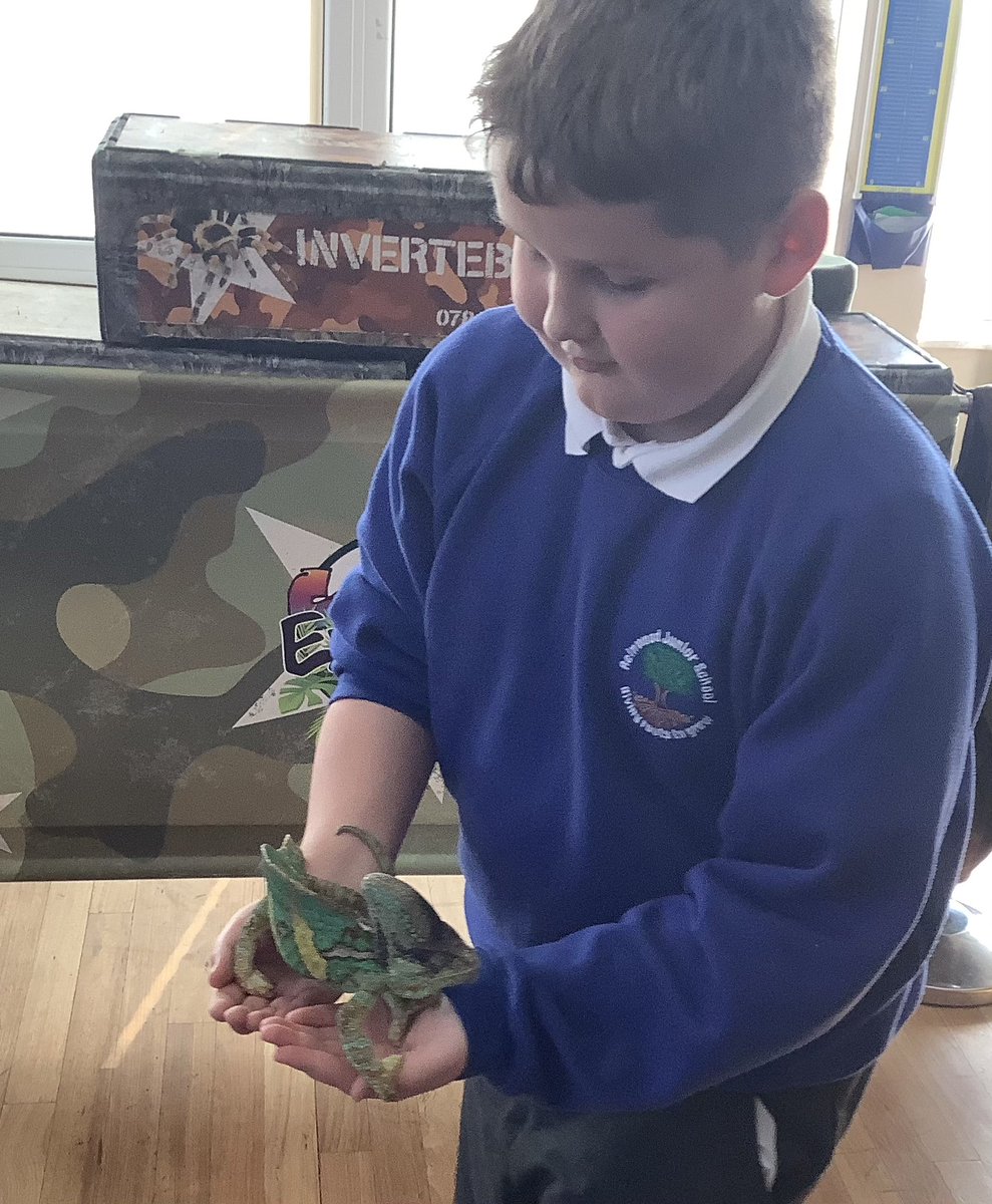 ReinwoodJuniors's tweet photo. 5D have loved their visit from the animal man today! They learnt lots about the animals. What a great end to our geography topic!
#RJS5D
#RJSGeography https://t.co/YqrqmnRDo3