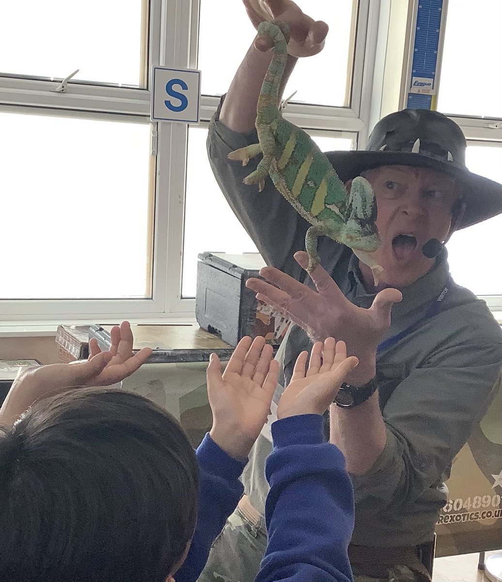 ReinwoodJuniors's tweet photo. 5D have loved their visit from the animal man today! They learnt lots about the animals. What a great end to our geography topic!
#RJS5D
#RJSGeography https://t.co/YqrqmnRDo3