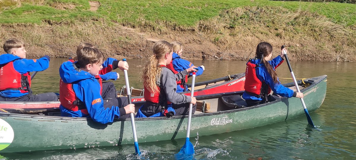 CW Primary School tweet media