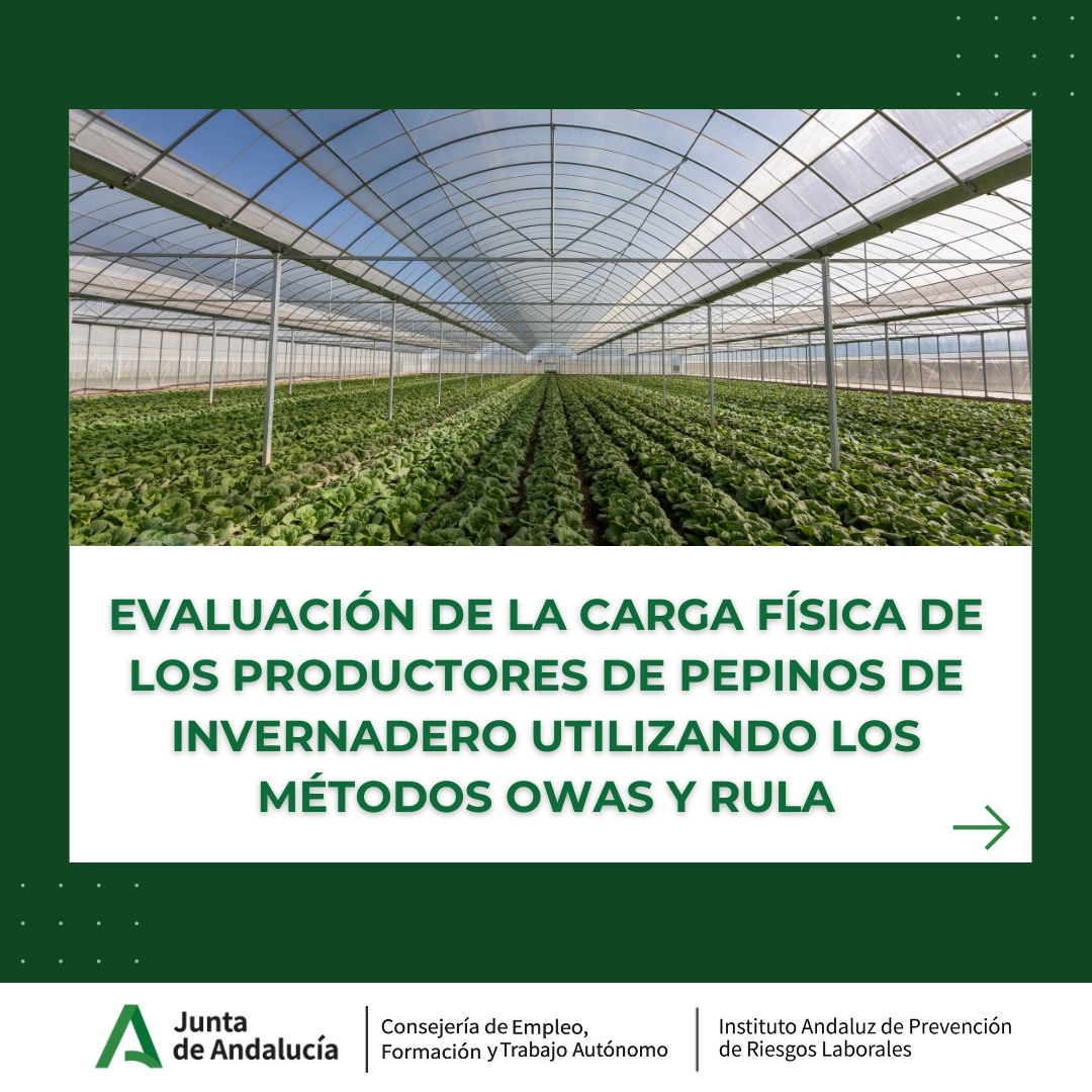 IAPRL's tweet photo. 🔊Evaluación de la carga física de los productores de pepinos de invernadero utilizando los métodos OWAS y RULA

 🔗¿Quieres saber más? ➡️https://t.co/pOLvz6buve

#OWAS #RULA #Invernadero #IAPRL #PRL https://t.co/hqlfffa73t