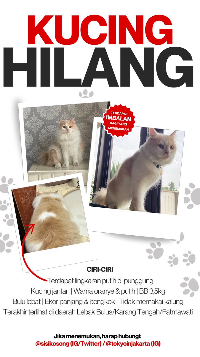 sisikosong's tweet photo. [KUCING HILANG]

✨Twitter, work your wonders and make some magic happen!✨

Sejak 19 Maret 2025, kucing kami - Tokyo - hilang.

Bagi teman-teman yang tinggal atau punya keluarga/rekan di sekitar Lebak Bulus/Fatmawati/Karang Tengah/Cilandak, mohon bantuan untuk share info ini😔 https://t.co/kYBtGynI6f