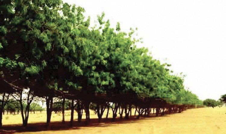 عبدالله عويد الهذال tweet media