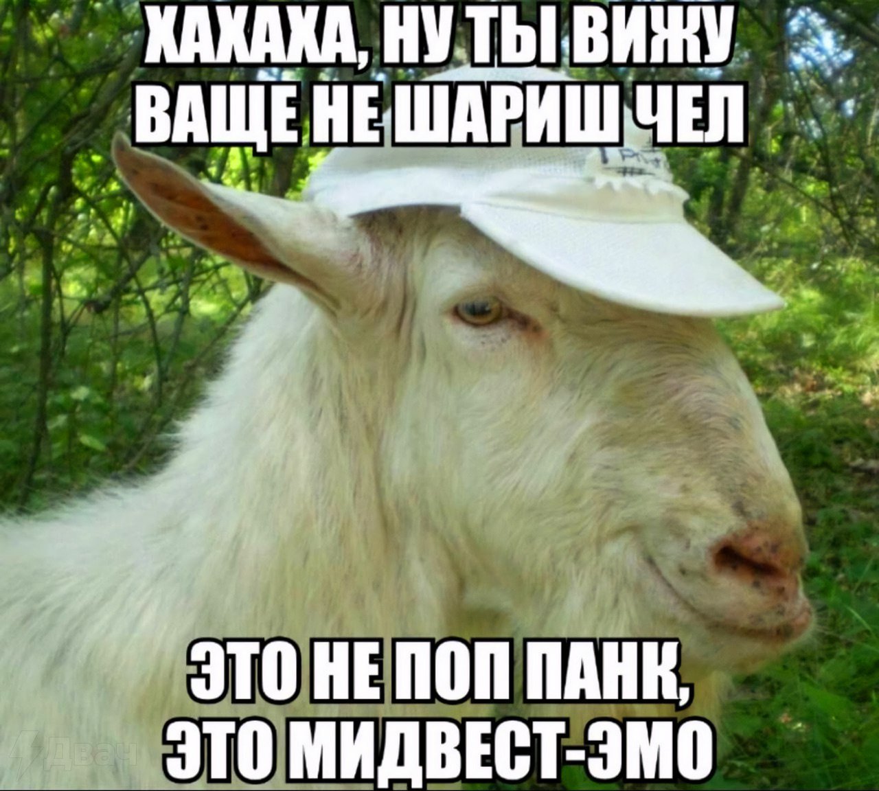  голые @@@@@ arhivach.org ! 