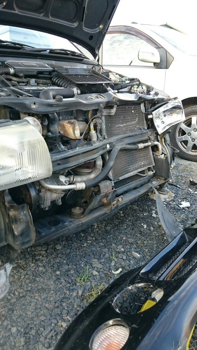動物と対決すると車は愉快な形になります。