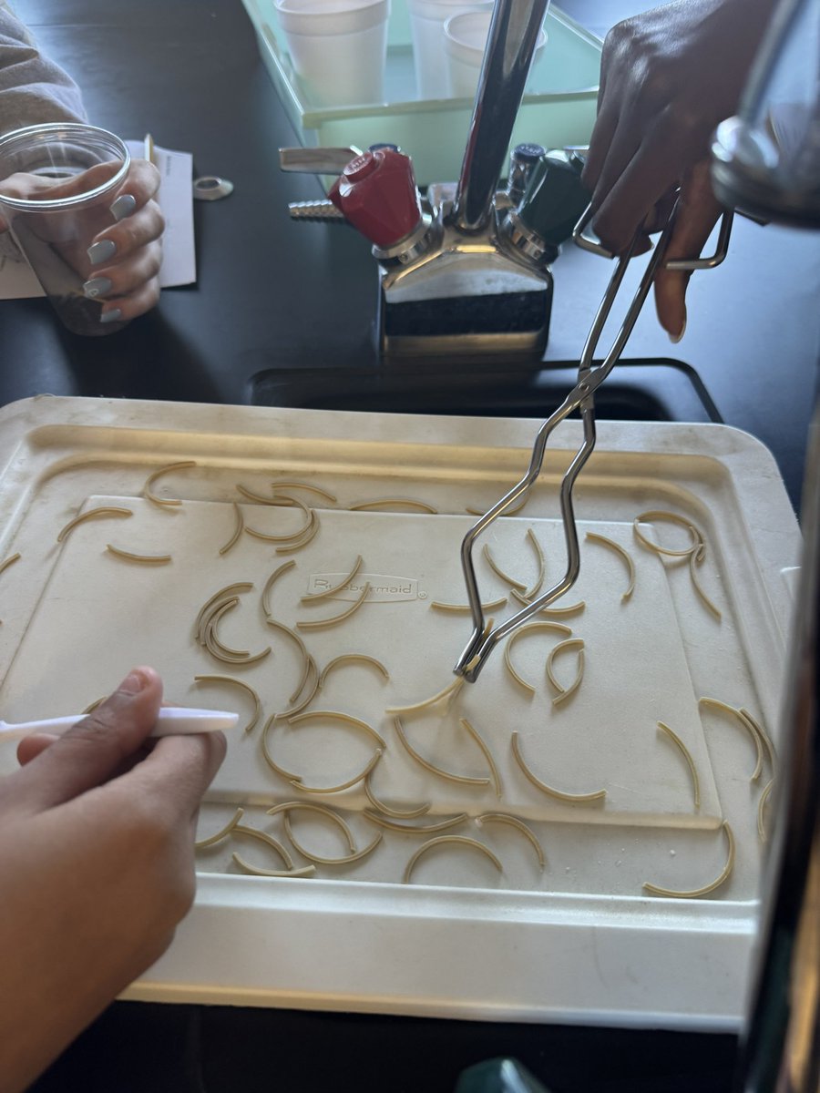 Mrs. Hutman tweet media