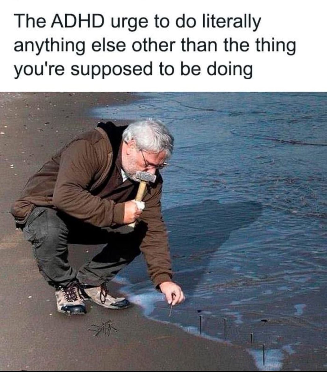 ADHD Memes (@adhdforreal) on Twitter photo 