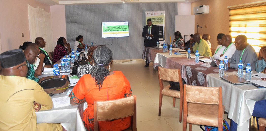 Sasakawa Nigeria tweet media