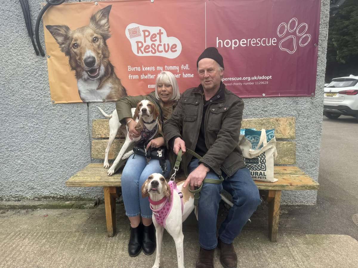 HopeRescue's tweet image. 🏡Mist &amp;amp; Serena🏡

Or beloved bonded pair, Mist &amp;amp; Serena, have found their perfect home together! Wishing them a lifetime of happiness, adventures, and tail wags! 🐶

#HopeRescue #20YearsofHope #Adopted