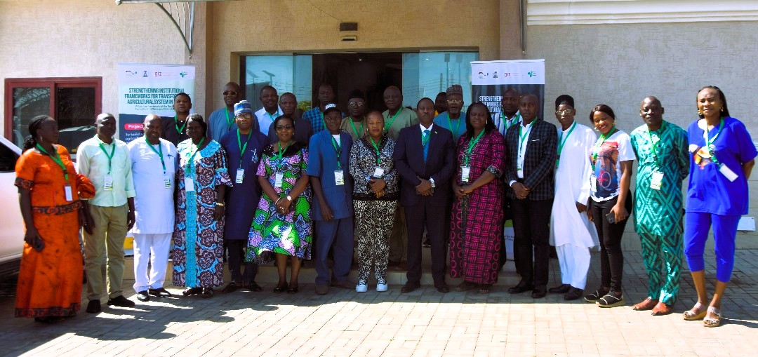Sasakawa Nigeria tweet media