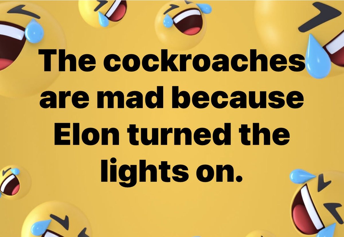 Perfect Analogy 🪳🪳🪳