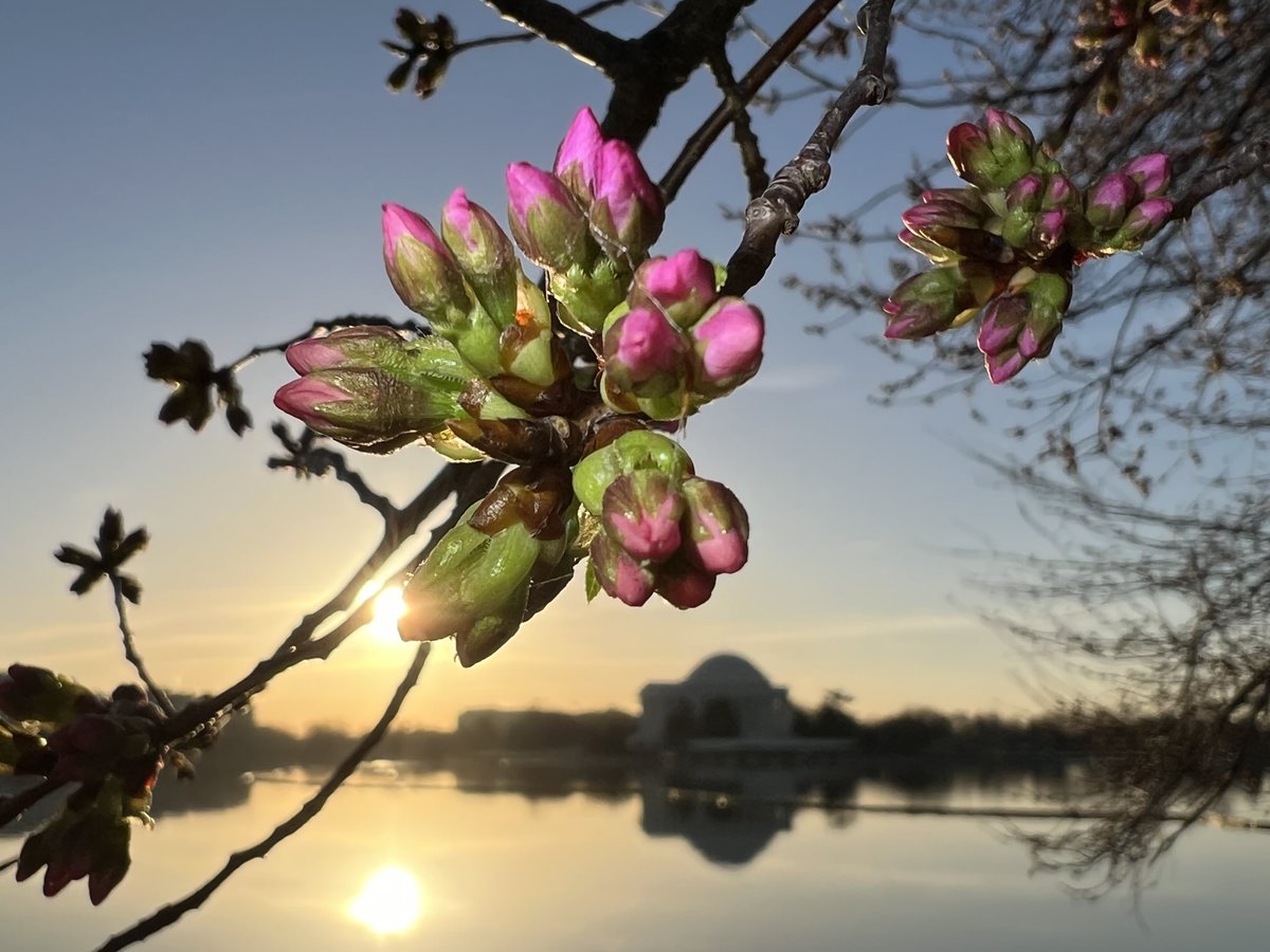 Capital Weather Gang tweet media