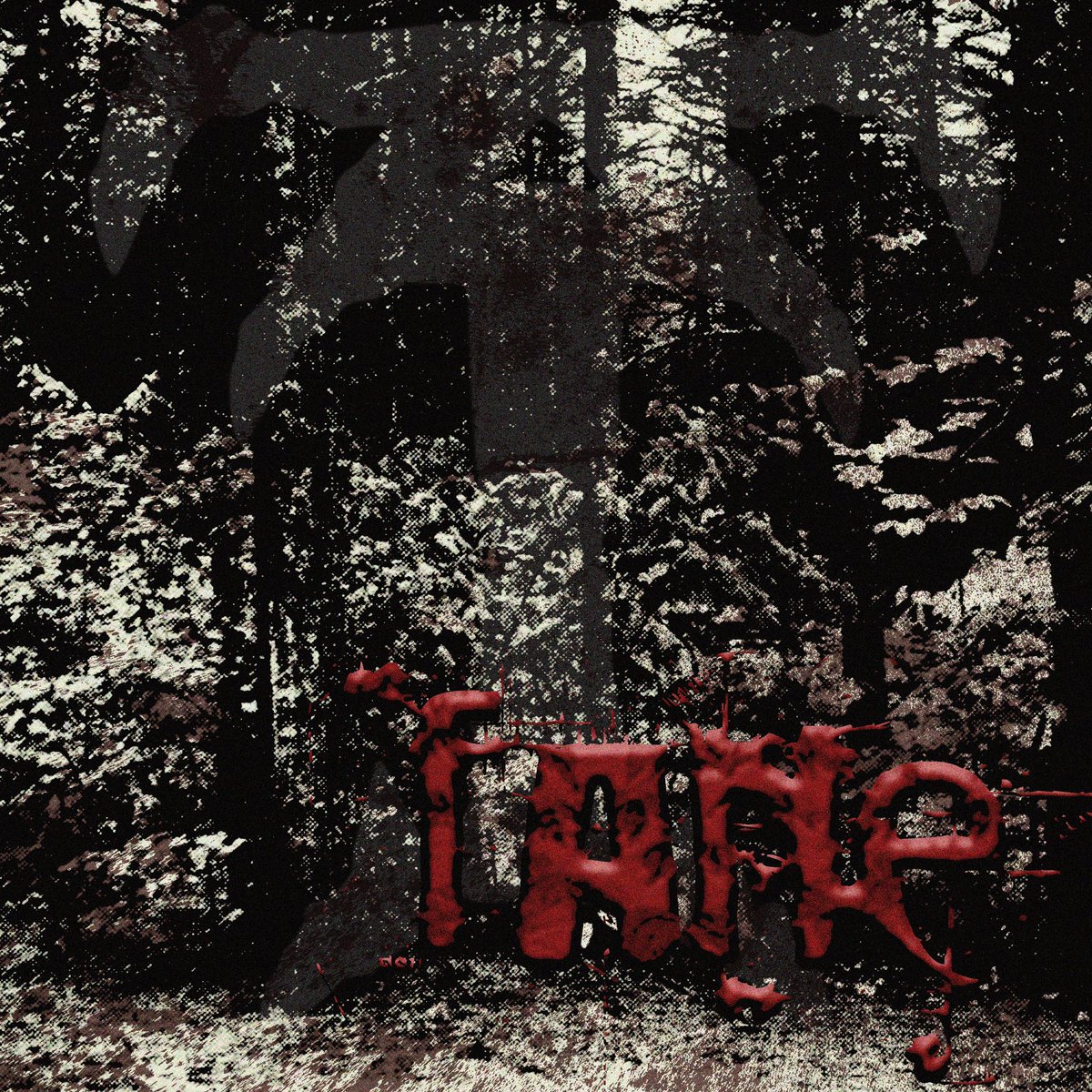 FANE. This Friday.

PRE-SAVE THE FIRST RITUAL STEP:

distrokid.com/hyperfollow/fe…