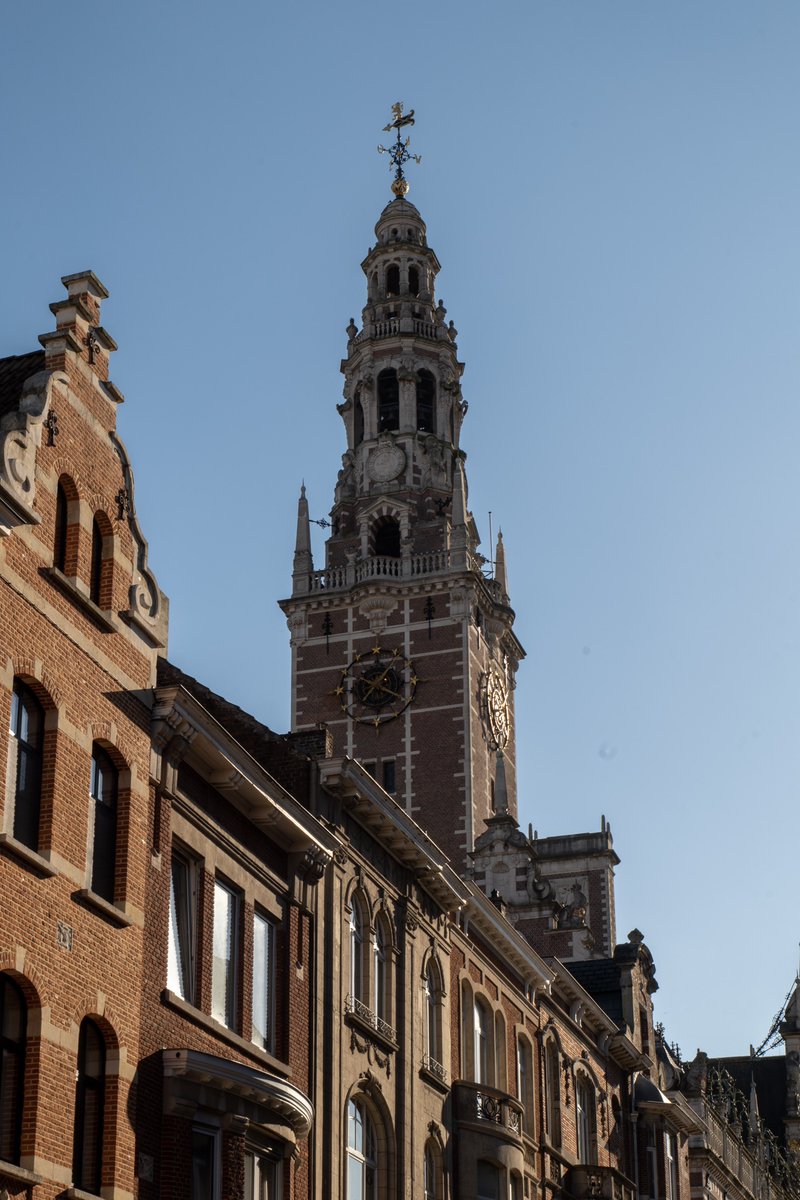 itsrapha83's tweet photo. Leuven is so beautiful under the March sun🇧🇪 https://t.co/CdB6Nx1Mel