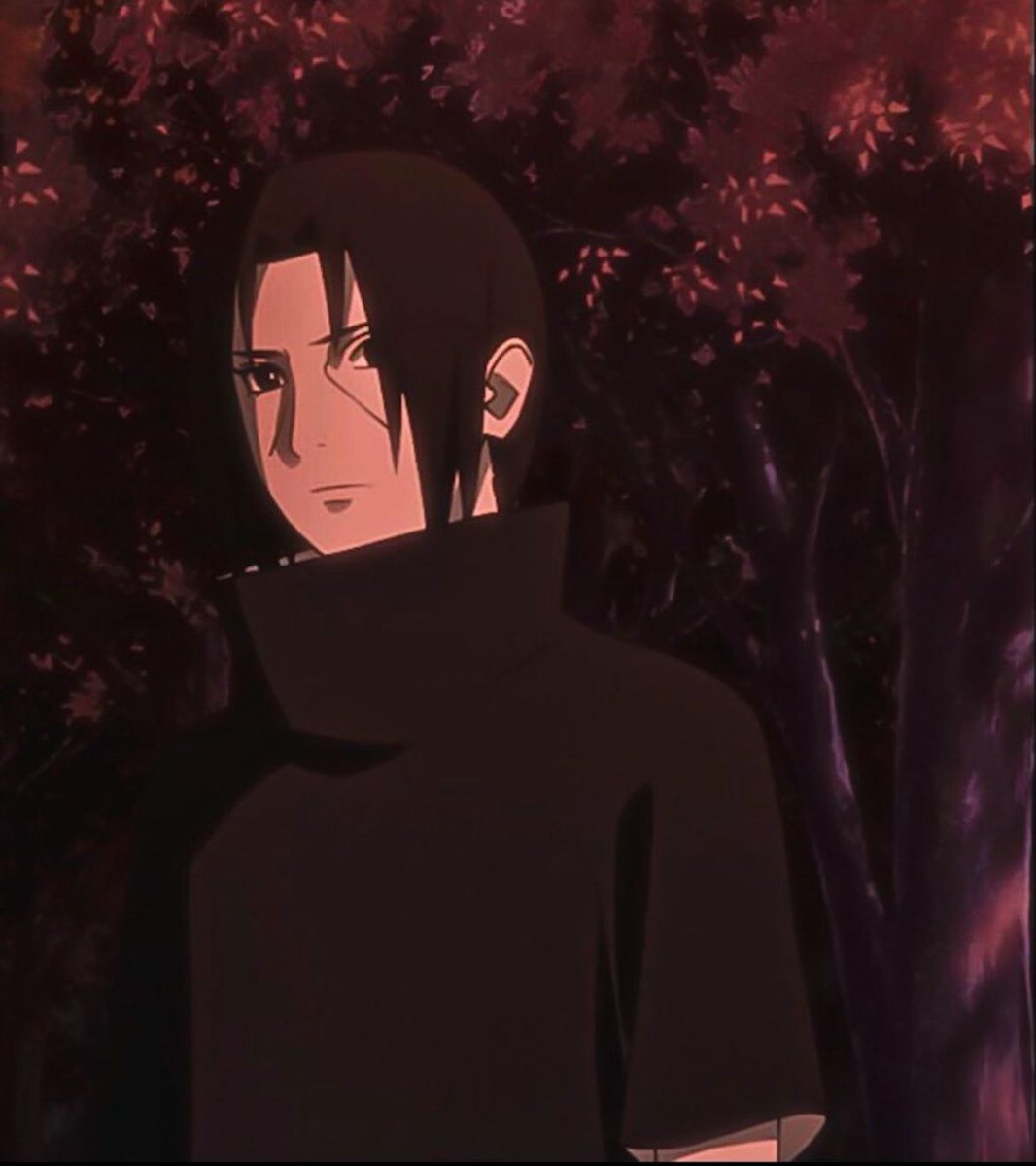 Shisui &amp; itachi