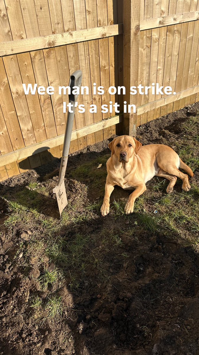 Fergus has informed me through <a href="/unitetheunion/">Unite the union: join a union</a> that he wants better walking conditions and enhanced treat per hour rate