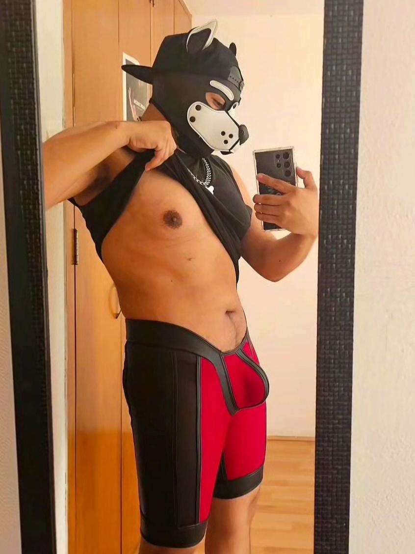 Am I a good boy? 🐶✨️