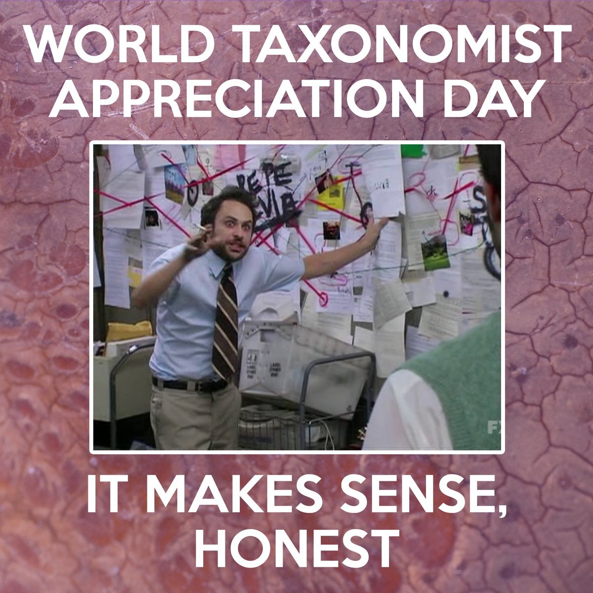 Para todos los que hoy nos despertamos y nadie nos felicitó. ¡Feliz día del taxónomo!

🦎