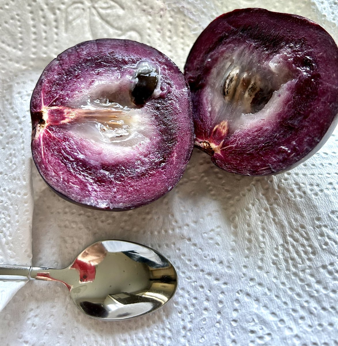 Nigelj08223326's tweet photo. @hcassamba @Hackney50David @hillviewalumni @StuartRYoung1 @me3_shh @leesah_zimbo @OfficialJoyous @snibs14
This fruit is called Kimit in Trinidad or #Roseapple in Jamaica
Itโs a prized fruit
There was one tree overhanging the ravine where I spent hours
Poor but happy
๐น๐น https://t.co/8W7wWNCgMk