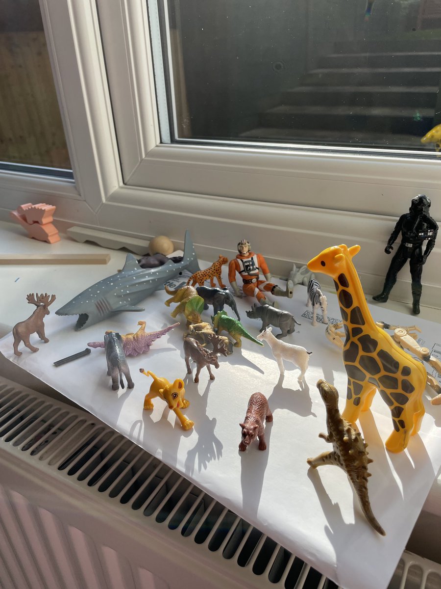 Amy George tweet media