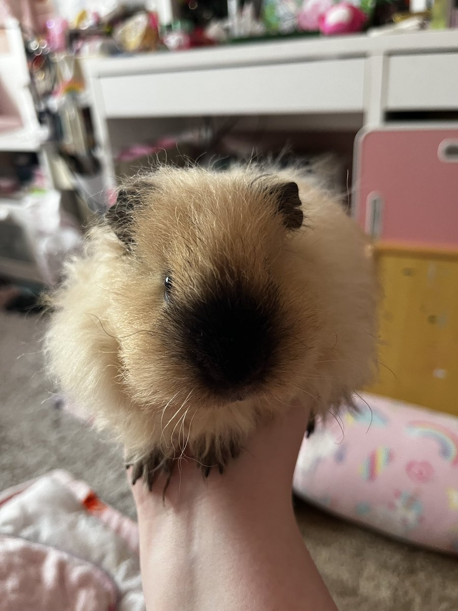 ⋆｡‧˚ʚ eleanor ɞ˚‧｡⋆ tweet media