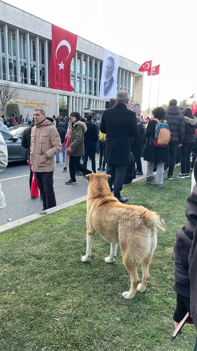 Birlikte direniyoruz!

#imamoğlu #sokağa #sarachane